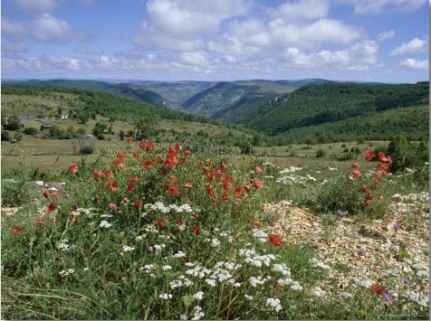 vacances-camping-car-lozere-leader-loisirs