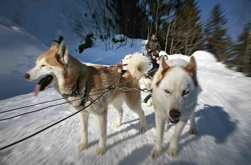 Partir au ski sans skier !