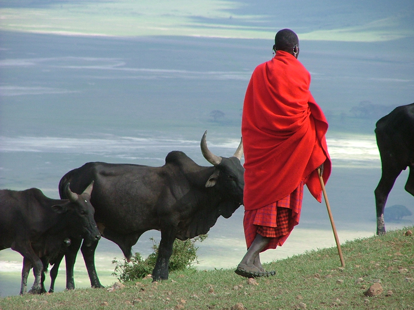 Safari en Tanzanie : safari photo privatif dans les réserves naturelles