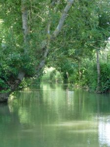 Visite en Vendée : le marais poitevin ou venise verte