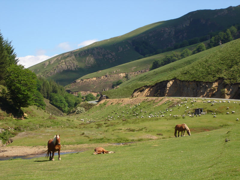 Vacances 2012 : faire de l’agritourisme en Aquitaine