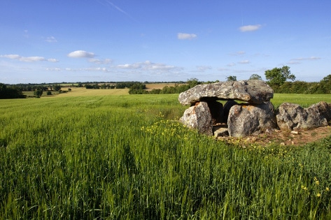 Dolmen Salvatole au Bernard. Source : www.vendee-tourisme.com