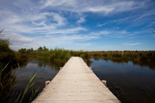 pêche en camargue