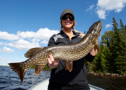 pêcher le brochet