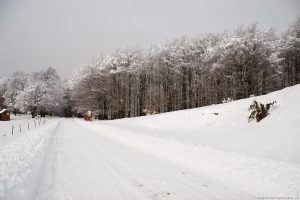 Séjour-Savoie-Alpes