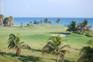 terrain de golf près de la plage avec palmiers