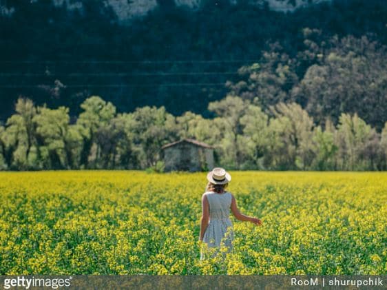 5 raisons de partir à la campagne pour les vacances