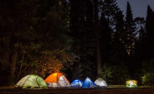 tentes illuminées nuit forêt