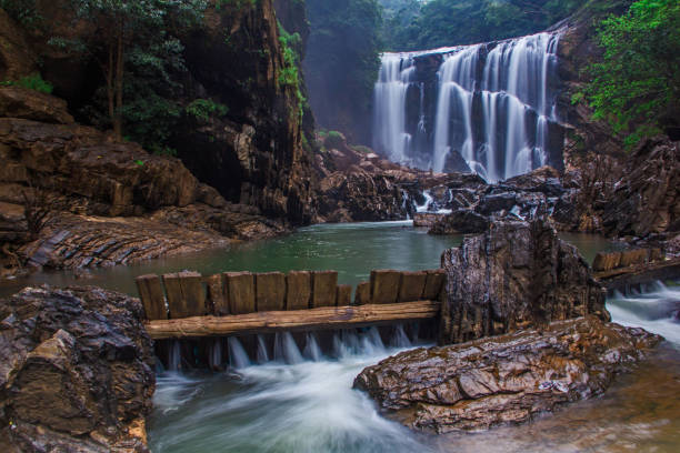 Parc naturel du Kernataka avec rivière tropicale et cascades