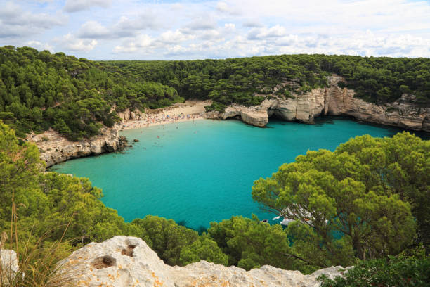 Belle crique de Majorque avec forêt