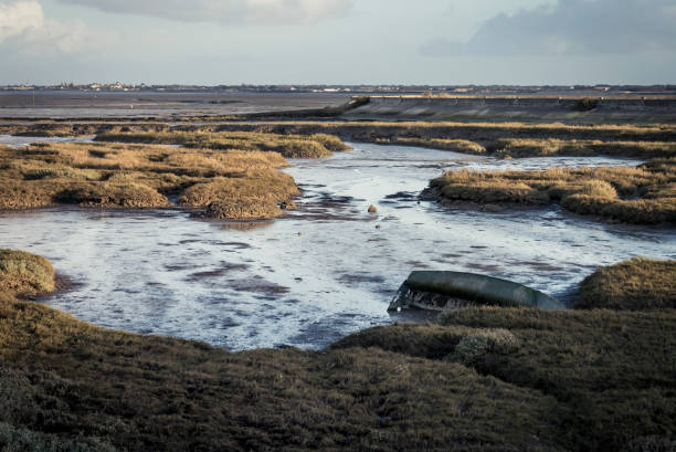 Marais salants près de Loix sur l'île de Ré en Charente-Maritime