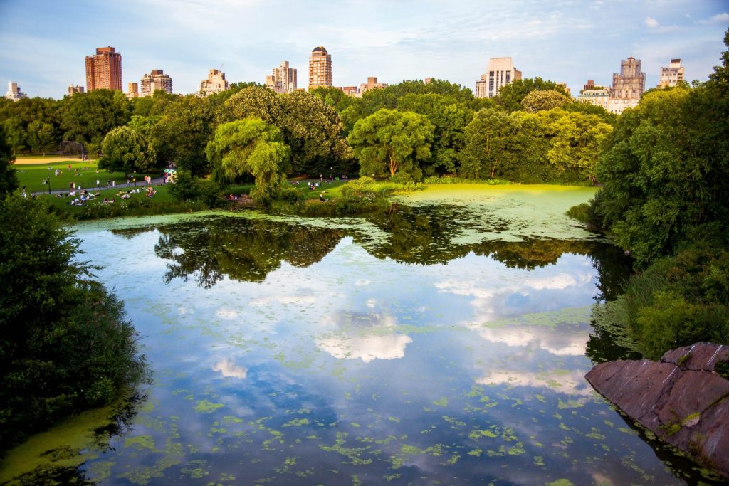 Central Park, New York