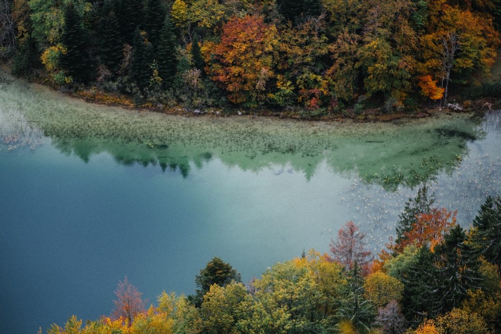 jura lac