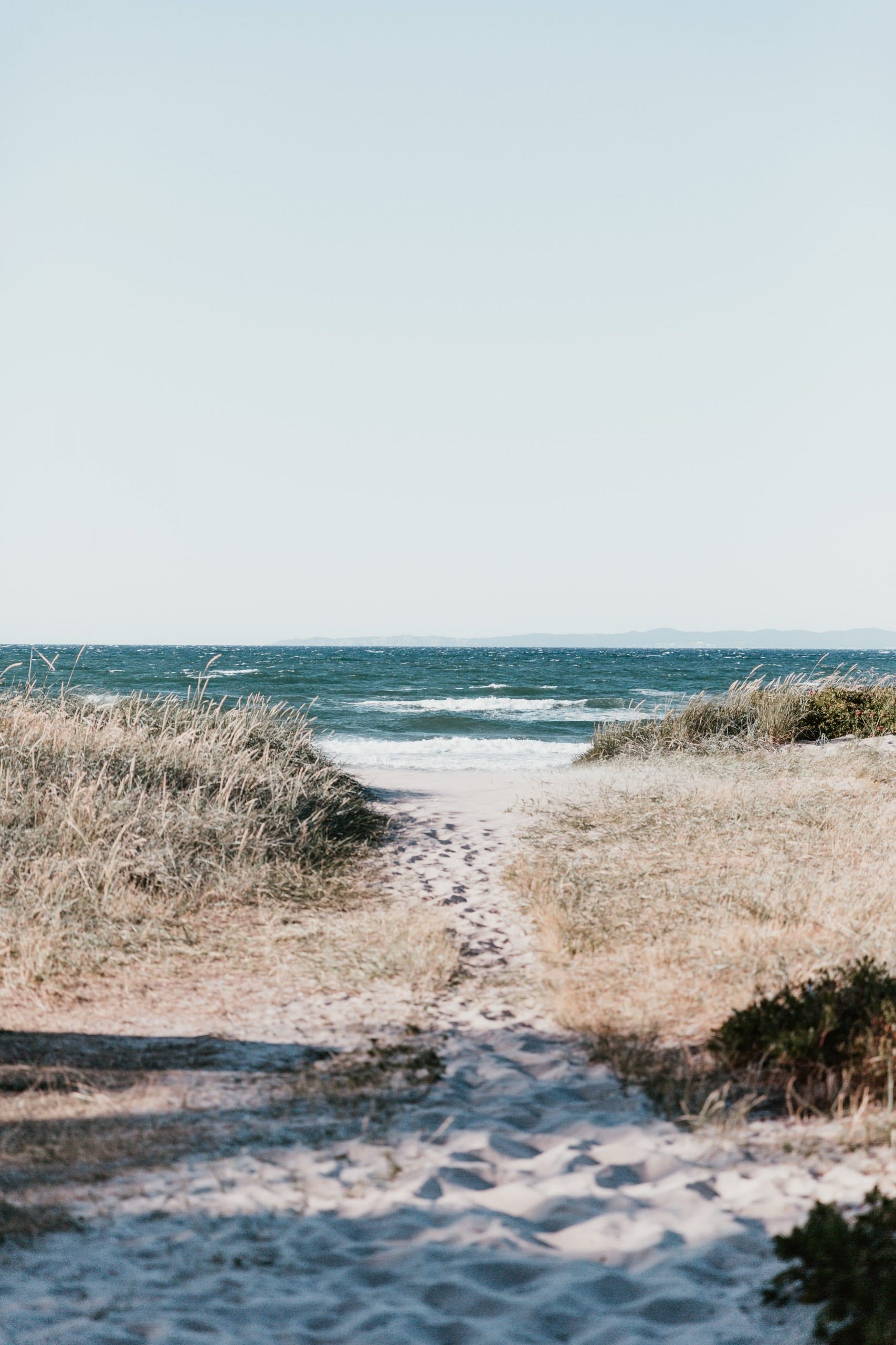 Dunes en bord d'océan